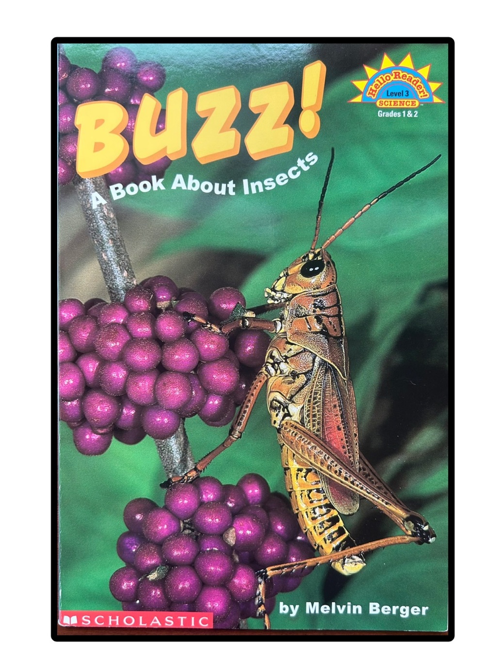 Buzz!: A Book About Insects (HELLO READER SCIENCE LEVEL 3) by Melvin Berger